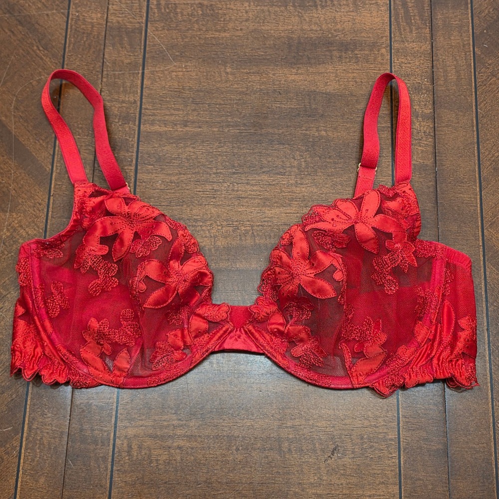 Victoria's Secret Unlined Plunge Bra 38D Red Floral Embroidered Mesh Underwire